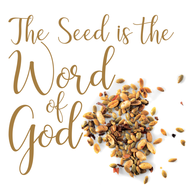 Oh holy night – Seeds of Faith